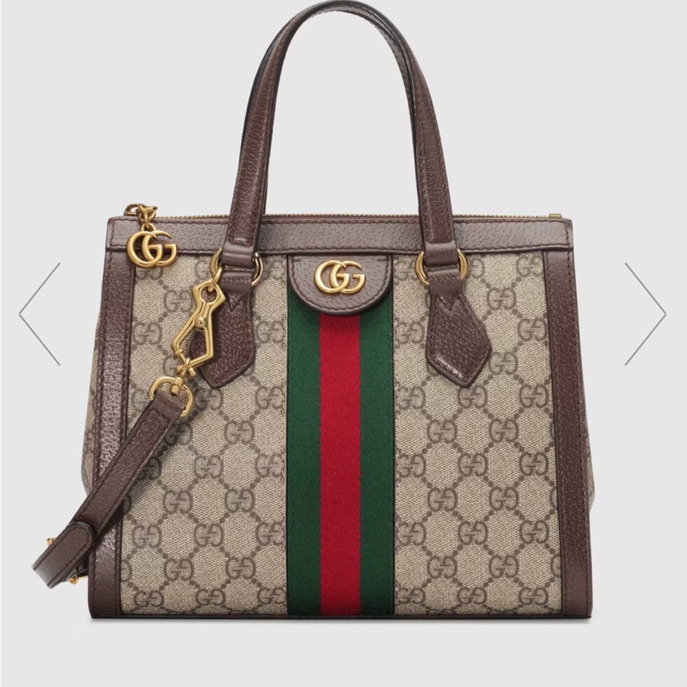 Authentic Gucci bag. Used a couple of times. Some makeup marks no damage.